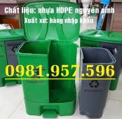 Thùng rác phân loại xanh đen, thùng rác đạp chân 2 ngăn, thùng rác đạp chân