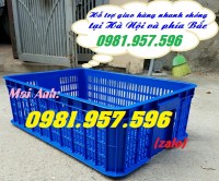 Sọt nhựa dựng bánh kẹo, sọt nhựa đựng rau củ, sọt nhựa Hs009