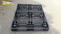 Cần bán thanh lí 200 pallet cũ, giá rẻ 0988 081 327