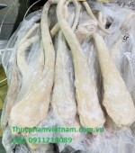 Nhập hàng đuôi trâu đông lạnh số lượng lớn – Chiết khấu hấp dẫn