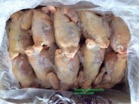 Thịt gà nguyên con nhập khẩu chất lượng cao – Đã làm sạch, đóng gói sẵn