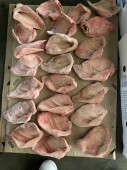Tai Heo Xào Chua Ngọt – Món Mặn Đưa Cơm Cực Chuẩn
