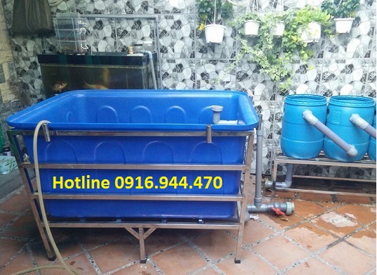 Thùng chữ nhật 50l, 100l, 200l, 300l, 500l, 750l dùng nuôi cá 0916944470-image-3