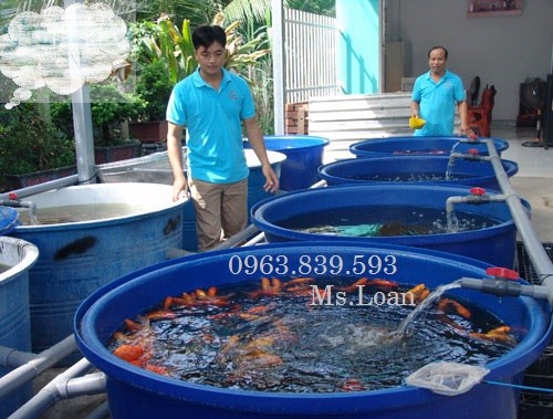 Bán thùng nhựa tròn 350L đựng nước, thùng nhựa giá rẻ / 0963.839.593-image-5, Trần Thanh Loan