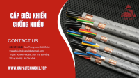 Cáp Altek Kabel RVVP/ RVV Hà Nội, Đà Nẵng, Hồ Chí Minh