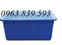 Thùng nhựa đặc chữ nhật, thùng nhựa làm bể bơi, nuôi cá,...-image-5, Trần Thanh Loan