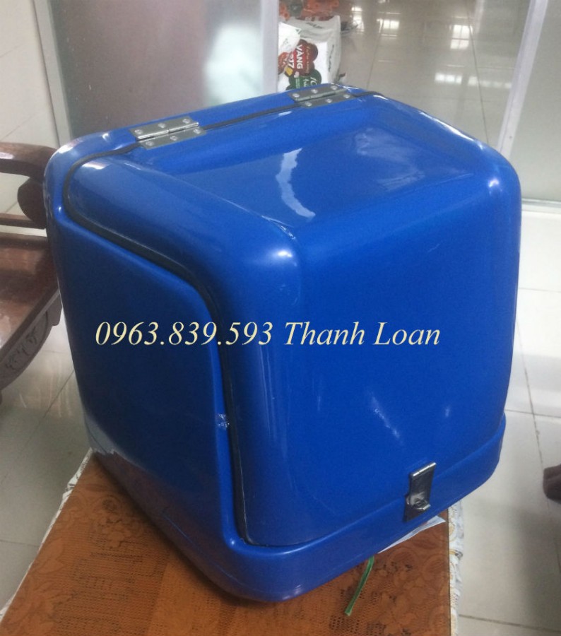 Thùng chở hàng Composite, thùng giao hàng sau xe máy giá tốt-image-3, Trần Thanh Loan