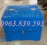 Thùng chở hàng Composite, thùng giao hàng sau xe máy giá tốt-image-2, Trần Thanh Loan