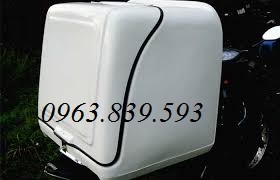 Thùng chở hàng Composite, thùng giao hàng sau xe máy giá tốt-image-5, Trần Thanh Loan