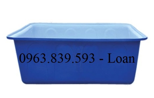 Thùng nhựa đặc đựng nước chữ nhật, thùng nhựa tròn, thùng nhựa làm bể bơi-image-3, Trần Thanh Loan