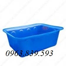 Thùng nhựa đặc đựng nước chữ nhật, thùng nhựa tròn, thùng nhựa làm bể bơi-image-2, Trần Thanh Loan