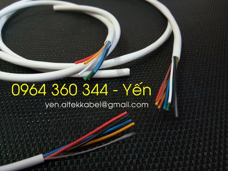 Cáp tín hiệu chống nhiễu 2 lõi, 4 lõi, 6 lõi, 8 lõi x 0.22mm2-image-5, Chuyên Phân Phối Cáp Điều Khiển, Cáp Tín Hiệu Altek Kabel