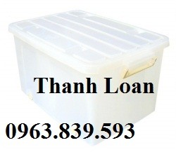 Hộp nhựa, thùng nhựa đa năng chở hàng sau xe máy, thùng nhựa có nắp-image-5, Trần Thanh Loan