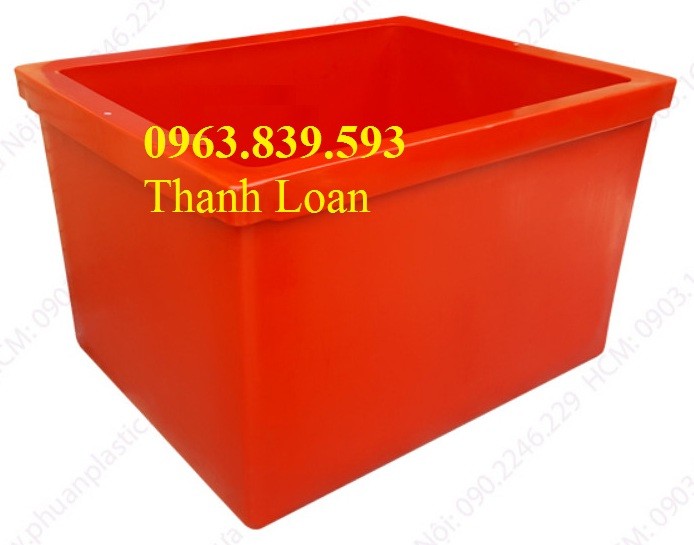 Thùng giữ lạnh hải sản trong nhà hàng, thùng ướp đá, thùng giữ lạnh công nghiệp-image-5, Trần Thanh Loan