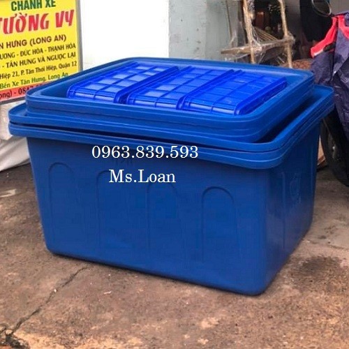 Thùng nhựa chữ nhật 750L 1 lớp nuôi cá, thùng nhựa 750L 2 lớp rẻ.-image-5, Trần Thanh Loan
