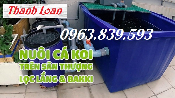 Thùng nhựa chữ nhật 750L 1 lớp nuôi cá, thùng nhựa 750L 2 lớp rẻ.-image-3, Trần Thanh Loan