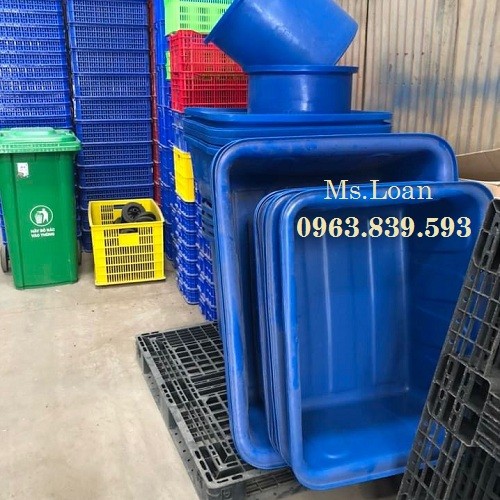 Thùng nhựa chữ nhật 750L 1 lớp nuôi cá, thùng nhựa 750L 2 lớp rẻ.-image-2, Trần Thanh Loan