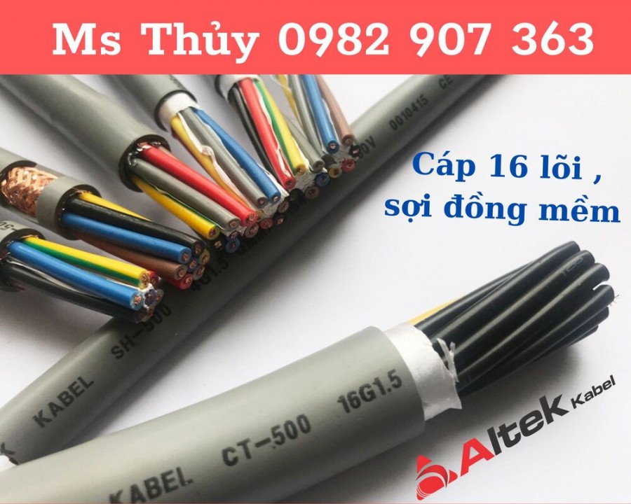 Thủy Cáp Điện-image-3